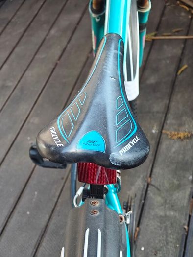 Procycle Vogue bicycle