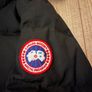 canada goose Image 2