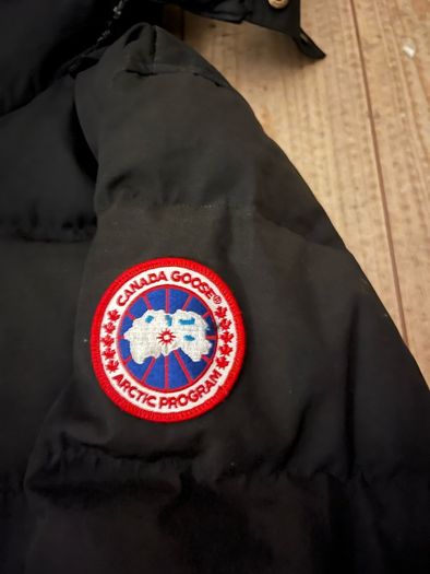 canada goose