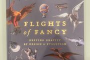 Flights of Fancy by Richard Dawkins. Hardback in good condition.