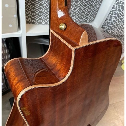 Richwood Electro Acoustic