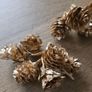 Two artificial mini pinecone picks Image 3