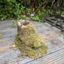 Garden Decor Items Image 5