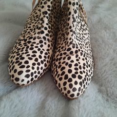 Dalmatian RI Boots