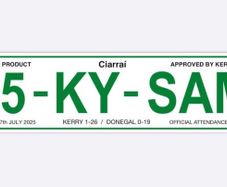 Kerry gaa number plate
