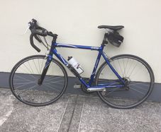 Giant Road Bike