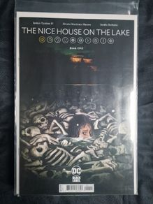 the nice house on the lake