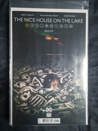 the nice house on the lake