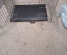 Dog Crate