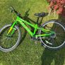 bike Image 6