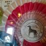 Wall Display Cabinet Dog Rosettes Image 5