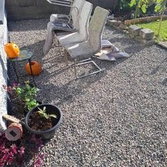 6 chairs