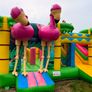 Bouncing Castle Image 7