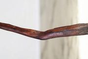 1 meter long bog oak