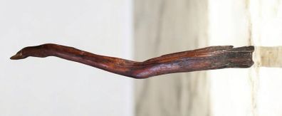 1 meter long bog oak