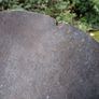 Victorian Brass Coal Scuttle Shovel Image 5