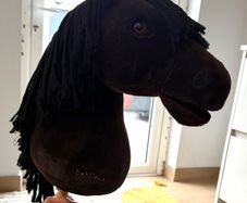 LeMieux Hobby Horse Brand New