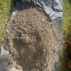 Topsoil