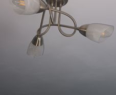 ceiling  light