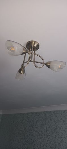 ceiling  light