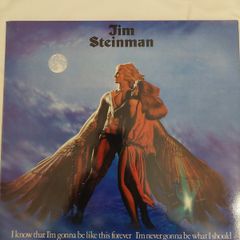 Jim Steinman - Bad for Good - 1981 vinyl LP
