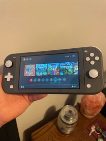 Switch Lite (Grey)