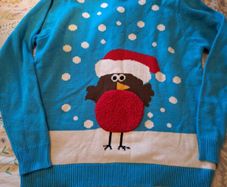 Men/womens Christmas Jumper
