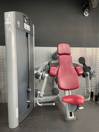 Tricep Dip and Bicep Curl Machine