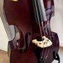 Double bass Image 2