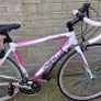 adult Bike  lady's bike road bike Image 3