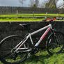 Bike Image 4