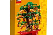 Lego 40648 Money Tree