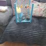 Small fish tank with all bits Image 3