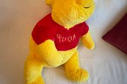 Winnie The Pooh