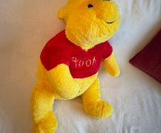 Winnie The Pooh