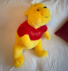 Winnie The Pooh