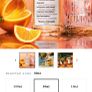 New MAISON MARGIELA Never Ending Summer 30ml Image 7