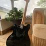Squire starcaster Guitar Image 2