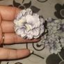 flowers Image 2