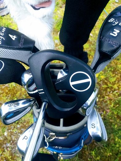 Set of Ladies Golf Clubs