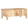 Coffee Table 100x55x40 cm Rough Mango Wood Image 2
