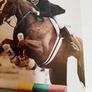 old horse and pony magazine 1984 Image 5