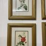 Set of six framed rose prints Image 3