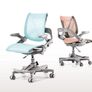 Ergonomic Chair HINOMI Zee v2 Study for Kids Image 2