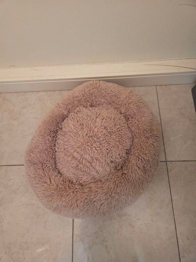 Dog Bed (brand new)