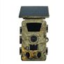 Wildlife camera Image 6