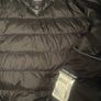 Canada goose hybridge Image 4