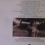 Mary Coughlan - Uncertain Pleasures CD Image 2
