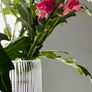 vase glass big Image 4