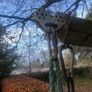 garden zip line Image 3